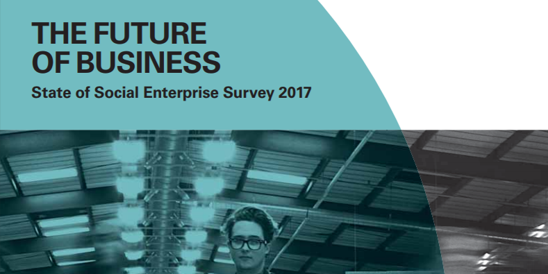 State of social enterprise 2017