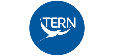 TERN